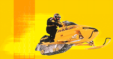 actionshot.gif (33121 bytes)
